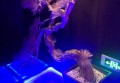 吉利招聘图片文案排版（创意视觉设计招聘：吉利集团文案排版新探索）