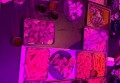 杭州拱墅区康桥街道附近夜场招聘包厢气氛租,不限身高