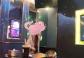 长春家政招聘文案策划（长春家庭服务人才招募创意策划）