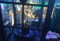 魅ktv杭州滨江银泰城旗舰店璀璨之夜